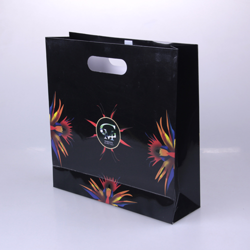 Shopping bags(SB055)